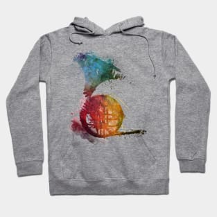 french forn #frenchforn #music Hoodie